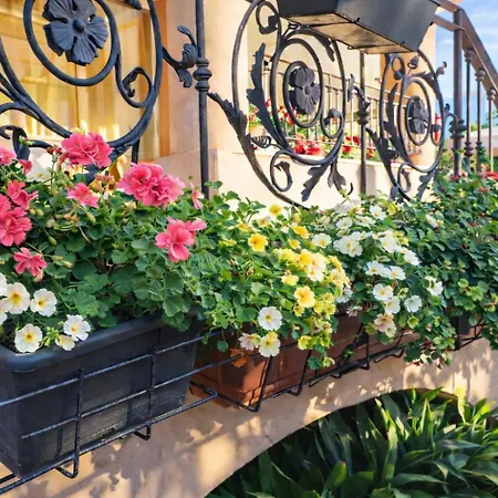 Gioiosa - & Bistrot 2*