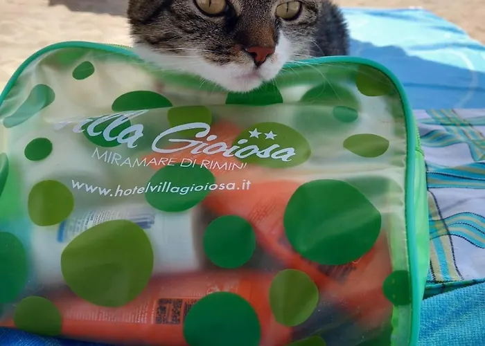 Gioiosa - & Bistrot Ξενοδοχείο Ρίμινι