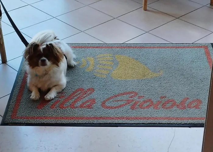 Ξενοδοχείο Gioiosa - & Bistrot Ρίμινι