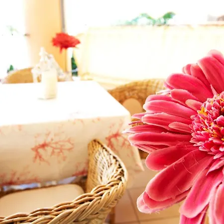 Hotel Villa Gioiosa - Beach & Bistrot 2*