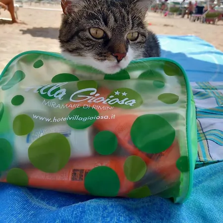 Hotel Villa Gioiosa - Beach & Bistrot Hotell Rimini