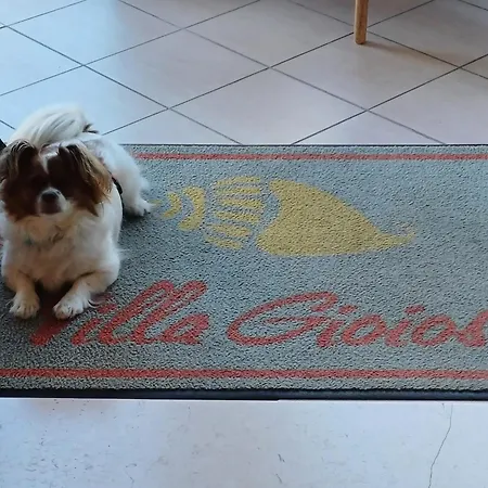 Hotel Gioiosa - & Bistrot Rimini